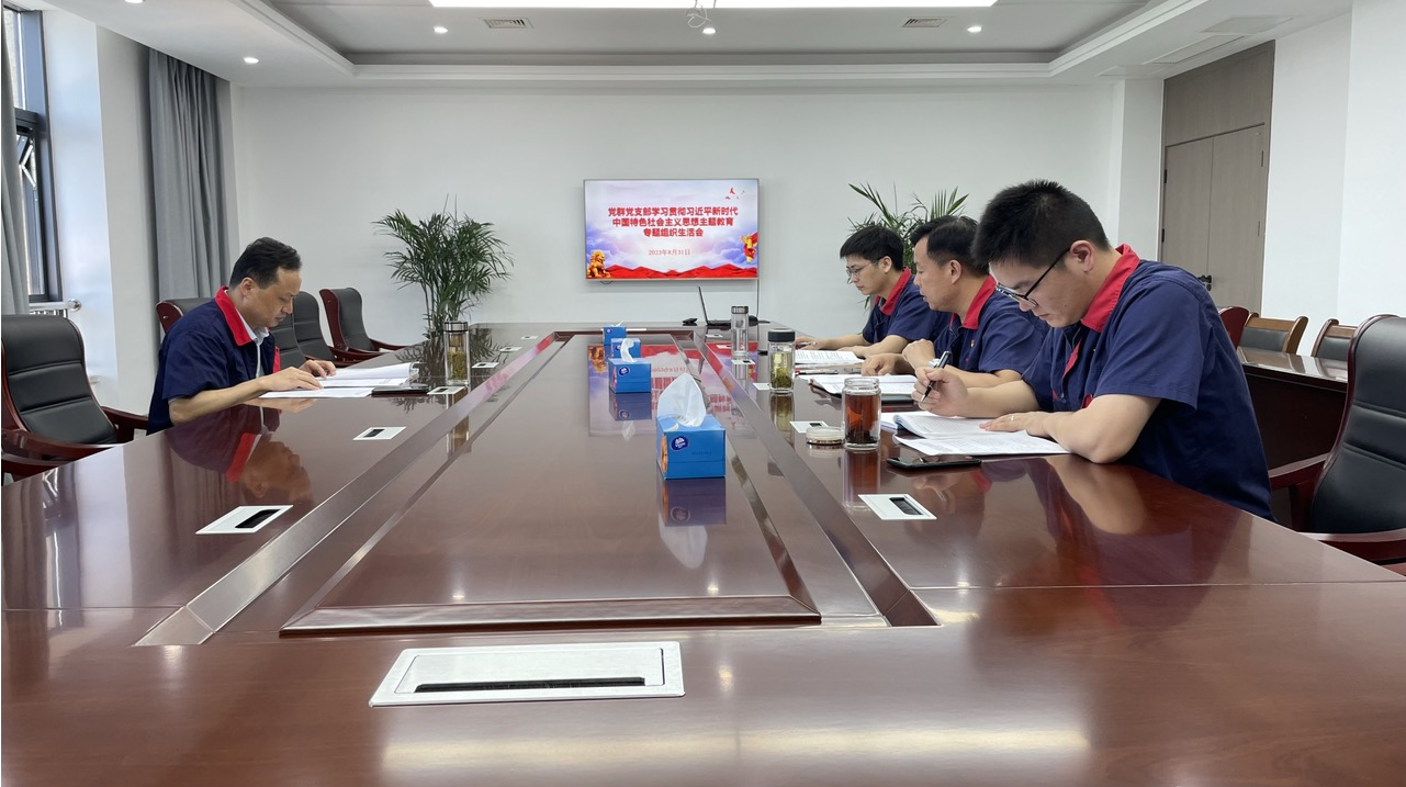 公司各黨支部召開學(xué)習貫徹習近平新時代中國特色社會主義思想主題教育專題組織生活會