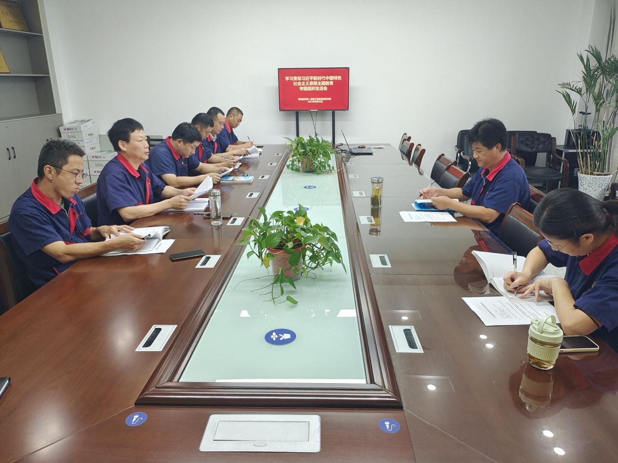 公司各黨支部召開學(xué)習貫徹習近平新時代中國特色社會主義思想主題教育專題組織生活會